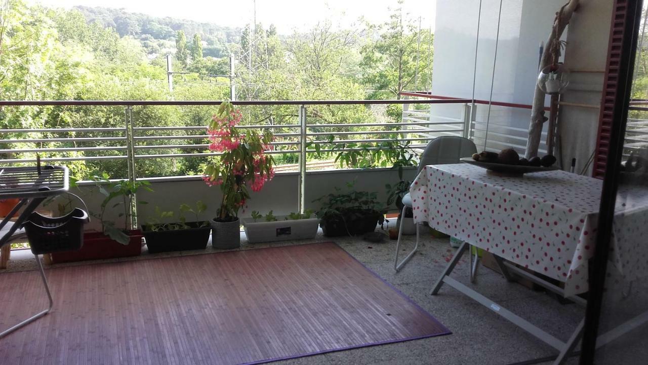T2 Bis Avec Terrasse Vue Montagne Proche Mer, Commerces Et Biarritz 비다르 외부 사진